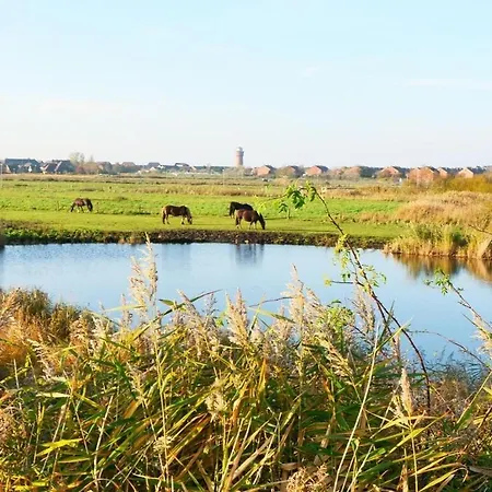 With 2 Bedrooms Borkum